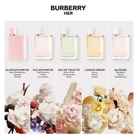 burberry takki|burberry her fragrance.